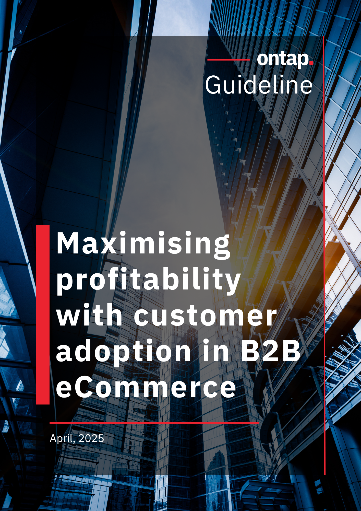 Free eBook: Maximising profitability with customer adoption in B2B eCommerce