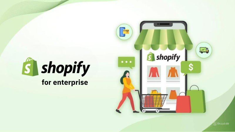 Shopify for enterprise