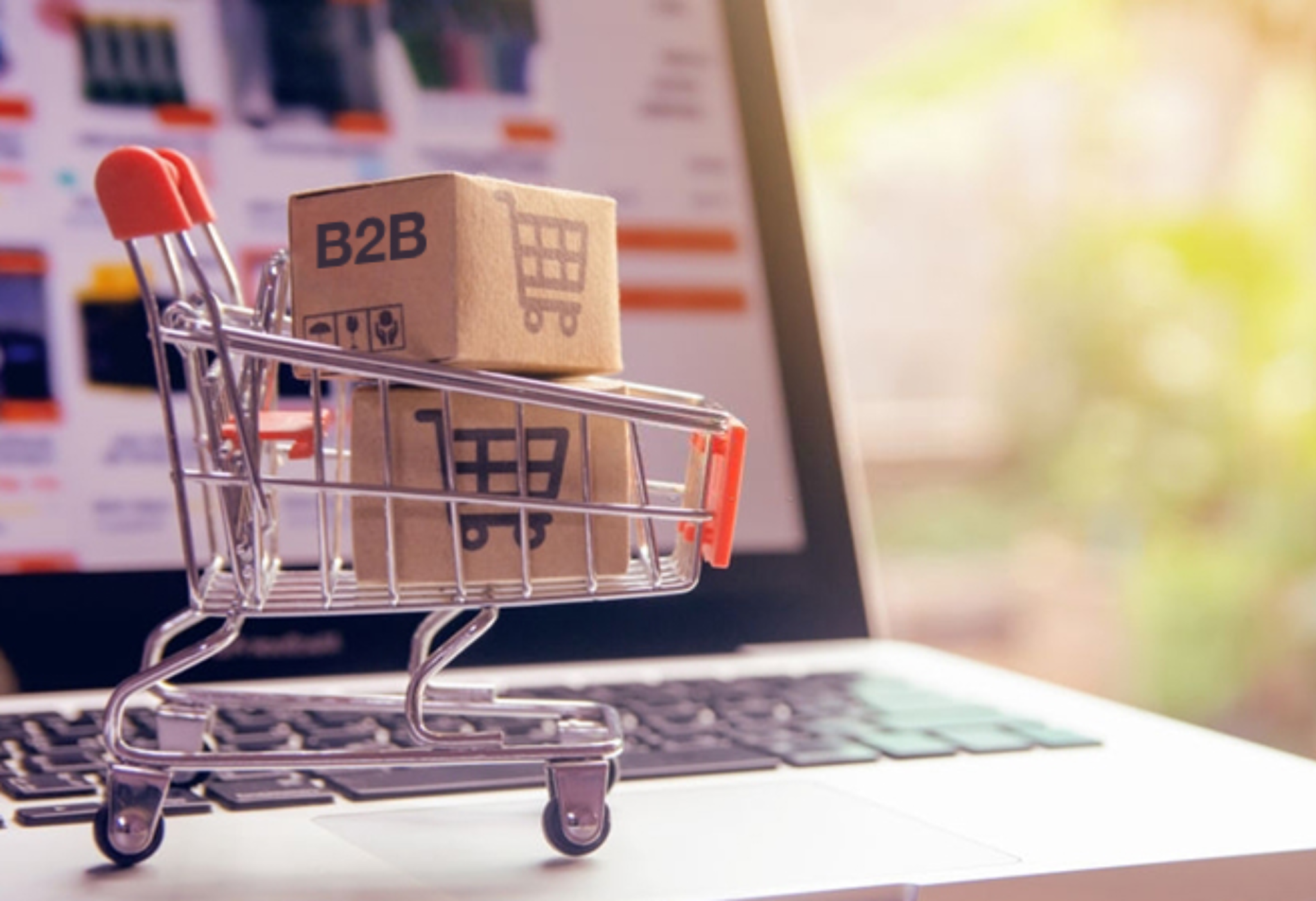 Wholesale ecommerce