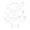 shopify service icon - experience
