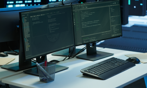 Website development